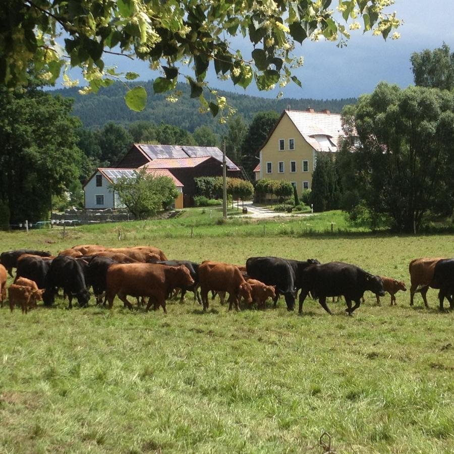 Haflingerstall Ferienhaus *